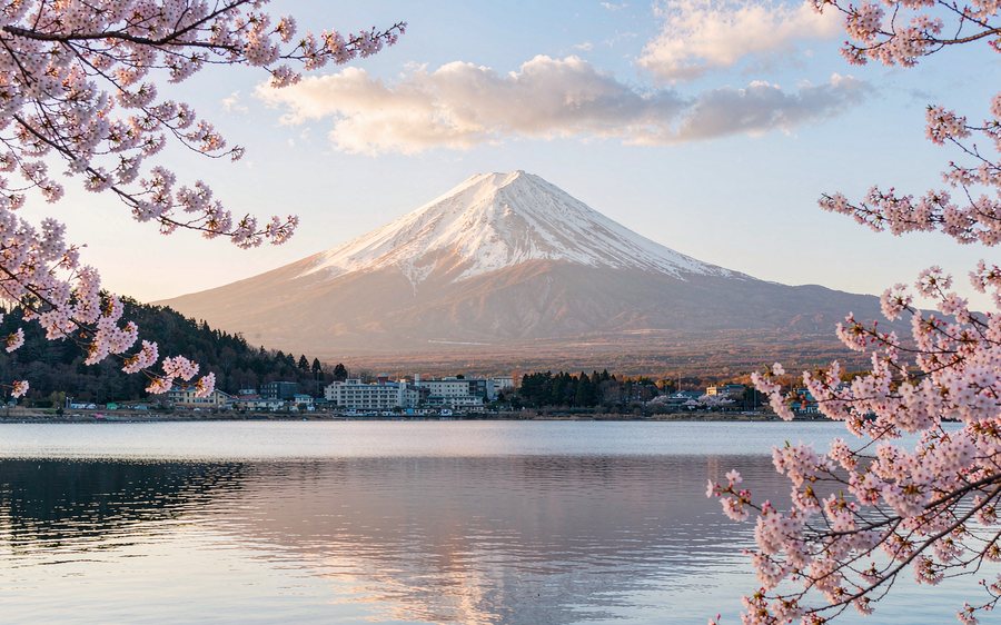 日本 · 富士山与湖畔樱花